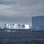 iceberg wedell