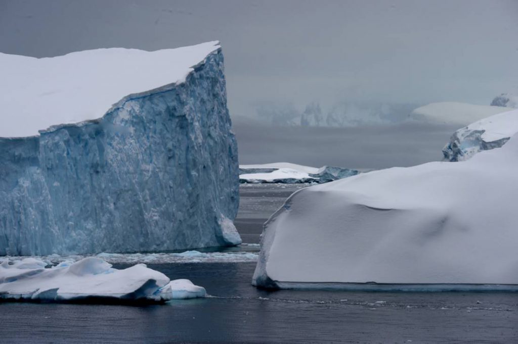 antarctique 9