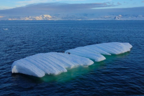 antarctique survol