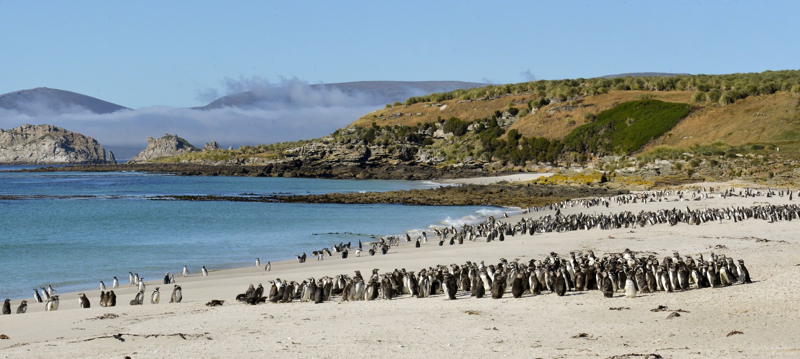 iles des malouines