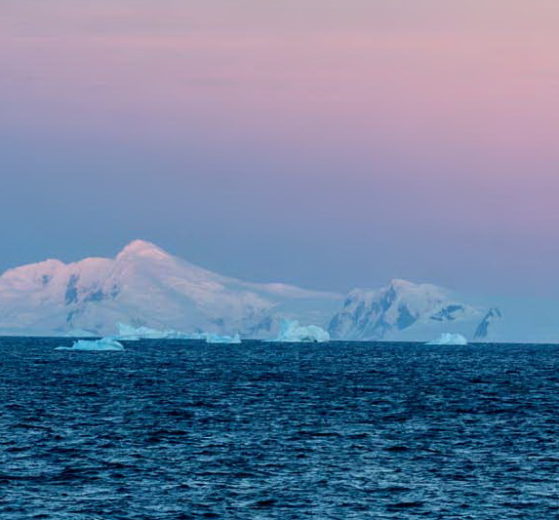 Magellan Explorer Antarctique