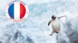 antarctique francais