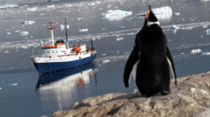 antarctique antarctique ushuaia