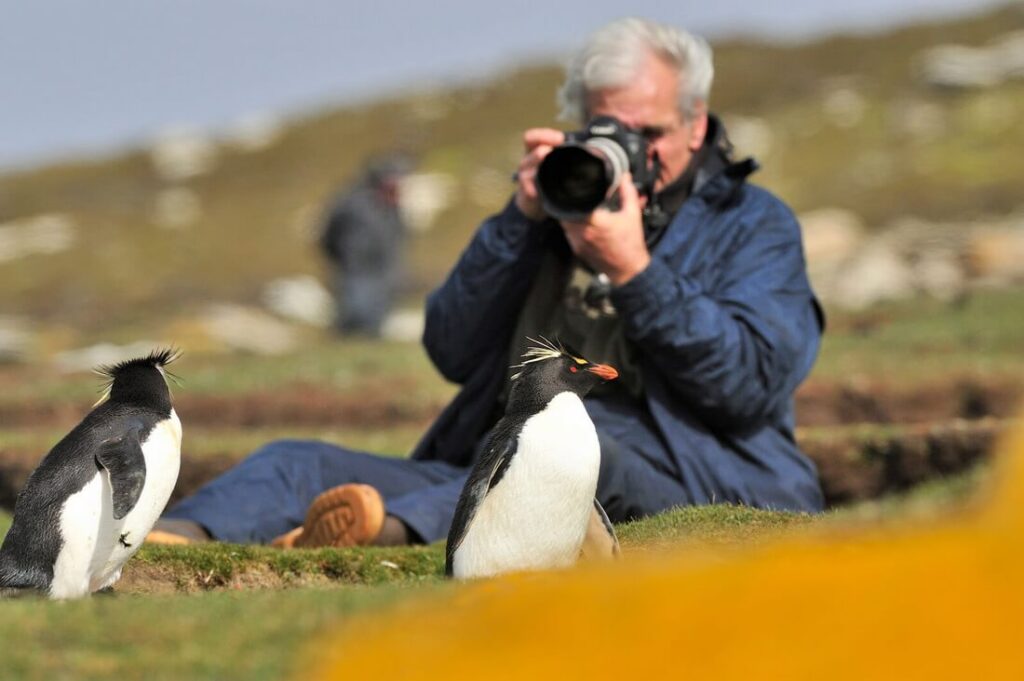 photographe aux Malouines