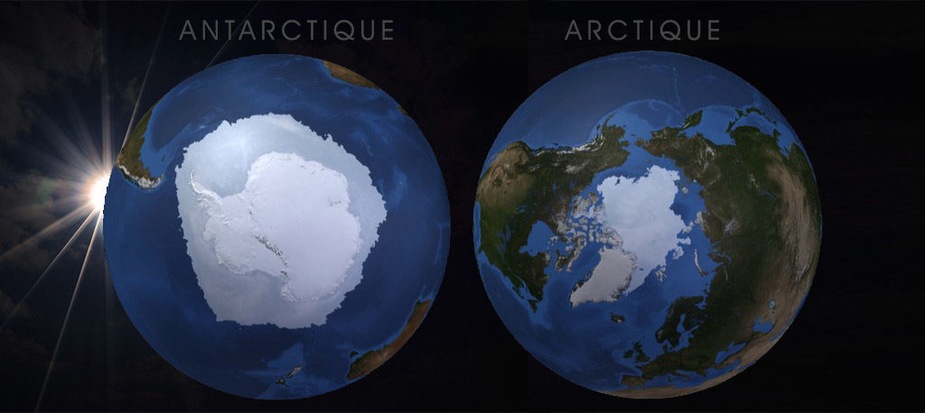 Antarctique vs Arctique