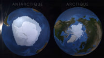antarctique vs arctique