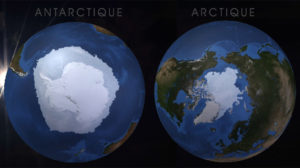 antarctique vs arctique