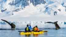 kayak antarctique