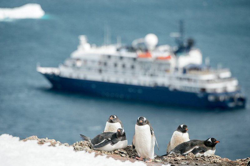 sea spirit antarctique