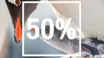 promo antarctique remise 50