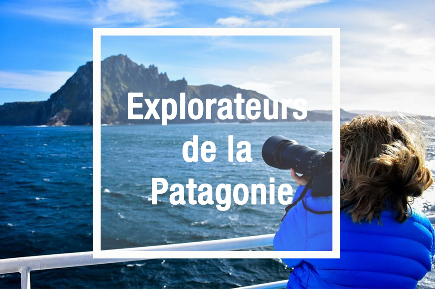 https://www.latitud-argentina.com/croisiere-patagonie-australis-cap-horn/