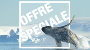 offre speciale hondius 2020