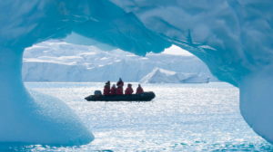 zodiac antarctique