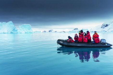 zodiac antarctique