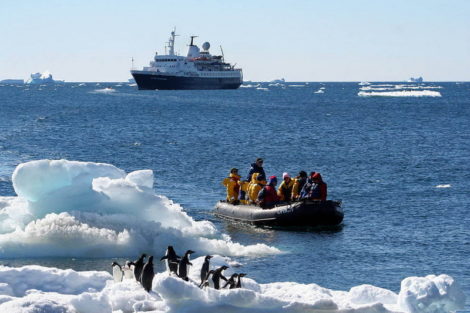 zodiac antarctique