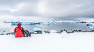 antarctique