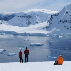 quand voyager en antarctique