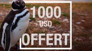 1000 usd offert