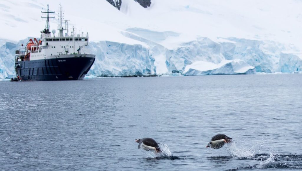 antarctique avec ortelius