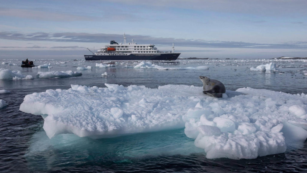 Antarctique elephant weddel