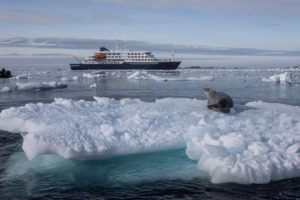 Antarctique elephant weddel