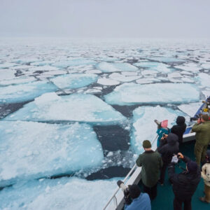 vue de la banquise depuis le pont du bateau