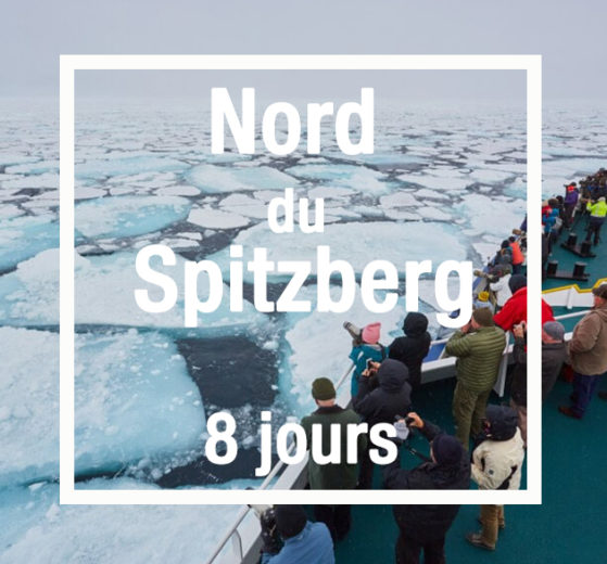 croisière au Nord du Spitzberg