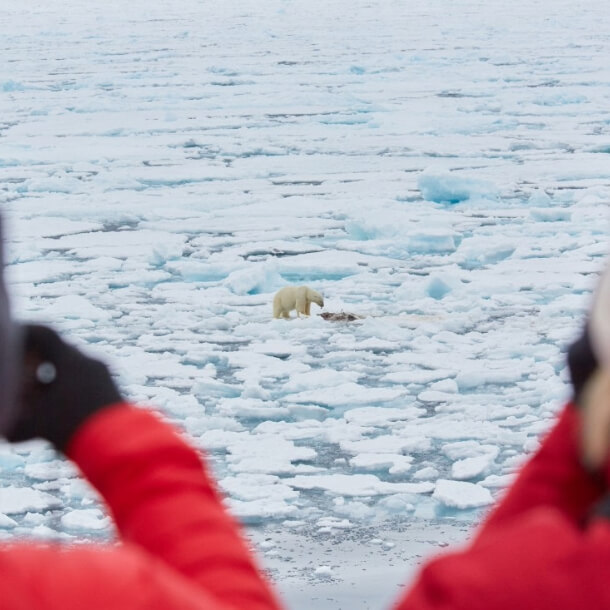 2 passagers observent un oours à la jumelle depuis le pont du bateau