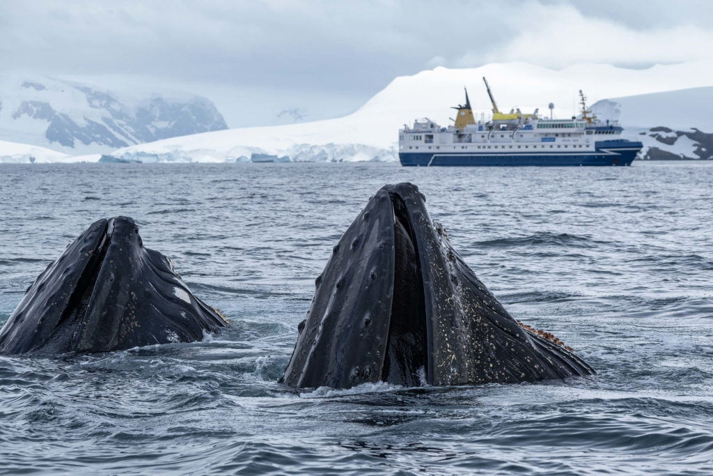 ocean nova en antarctique