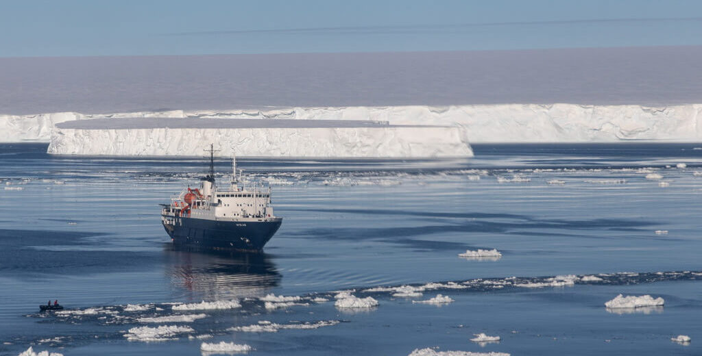 ortelius plateforme larsen