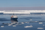 ortelius plateforme larsen