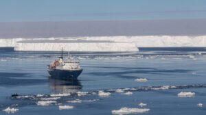 ortelius plateforme larsen