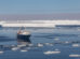 ortelius plateforme larsen