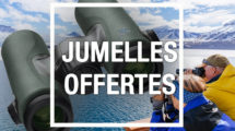 jumelles swarovski offertes