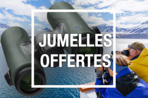 jumelles swarovski offertes