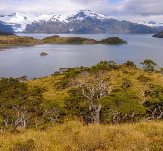 canaux de patagonie