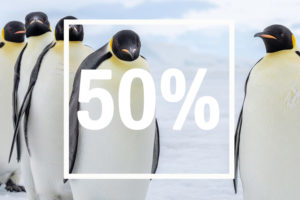 derniere minute antarctique