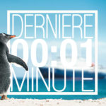 Dernière Minute et promotions sur les croisières en Antarctique