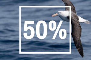 promo sea spirit antarctique