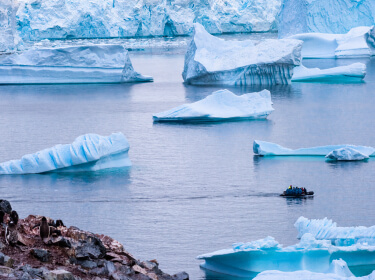 un zodiac slalom entre les iceberg