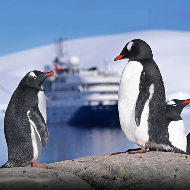 2 manchots devant le bateau Sea Spirit