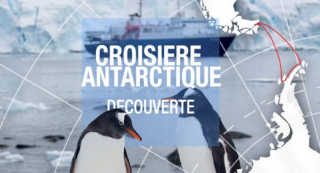 [Vidéo] Croisière en Antarctique Classique de découverte