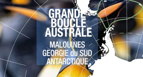[Vidéo] Croisière aux iles Malouines, Géorgie du Sud & Antarctique