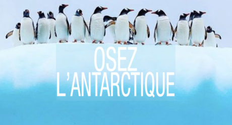 [Vidéo] Osez l’Antarctique!