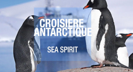 [Vidéo] Sea Spirit
