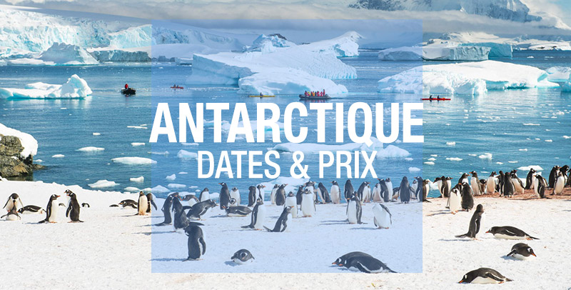 vignettes anoncant les dates et prix des croisières en antarctique